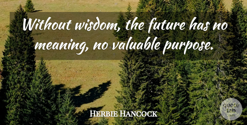 Herbie Hancock Quote About Future, Purpose, Valuable: Without Wisdom The Future Has...