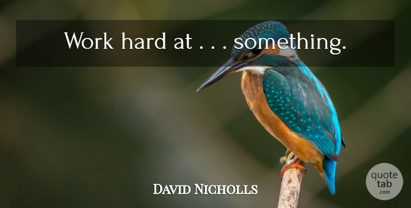 David Nicholls Quote About Hard Work, Hard: Work Hard At Something...