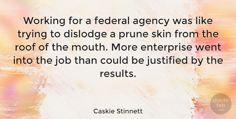 Caskie Stinnett Quote About Agency, British Actress, Enterprise, Federal, Job: Working For A Federal Agency...