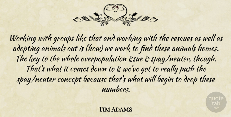 Tim Adams Quote About Adopting, Animals, Begin, Concept, Drop: Working With Groups Like That...