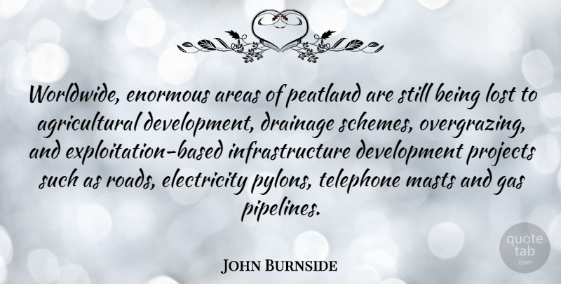 John Burnside Quote About Areas, Electricity, Enormous, Gas, Projects: Worldwide Enormous Areas Of Peatland...