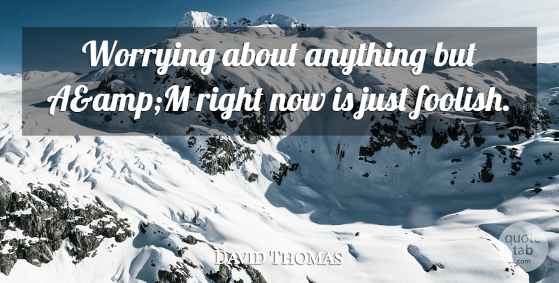 David Thomas Quote About Worrying: Worrying About Anything But Aampm...