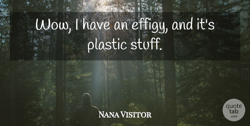 Nana Visitor Quote About Plastic: Wow I Have An Effigy...