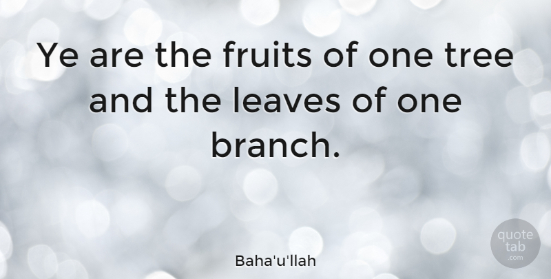 Baha'u'llah Quote About Leaves: Ye Are The Fruits Of...