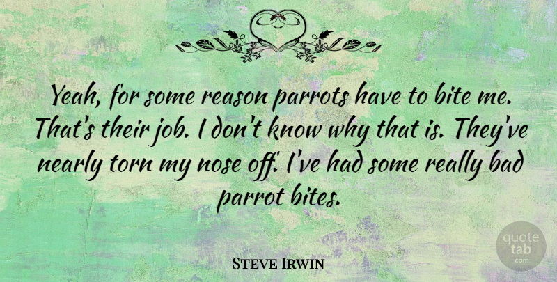 Steve Irwin Quote About Jobs, Noses, Reason: Yeah For Some Reason Parrots...