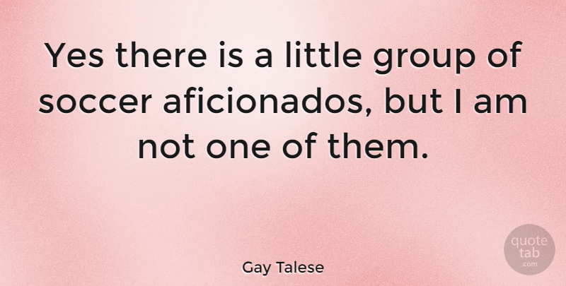 Gay Talese Quote About Soccer, Groups, Littles: Yes There Is A Little...