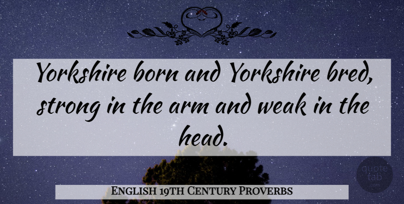 English 19th Century Proverbs Quote About Arm, Born, Proverbs, Strong, Weak: Yorkshire Born And Yorkshire Bred...