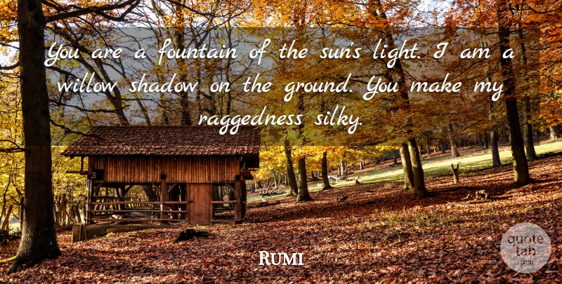 Rumi Quote About Light, Shadow, Sun: You Are A Fountain Of...