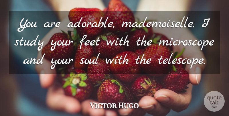 Victor Hugo Quote About Feet, Adorable, Soul: You Are Adorable Mademoiselle I...