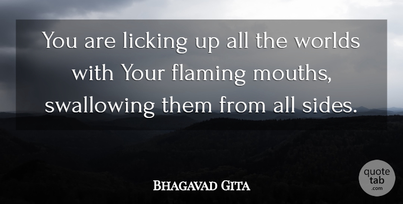 Bhagavad Gita Quote About Flaming, Licking, Swallowing, Worlds: You Are Licking Up All...