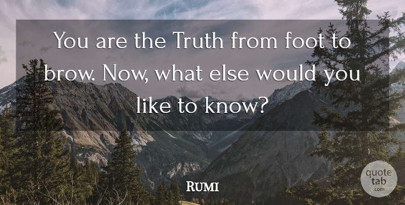 Rumi Quote About Spiritual, Truth, Feet: You Are The Truth From...