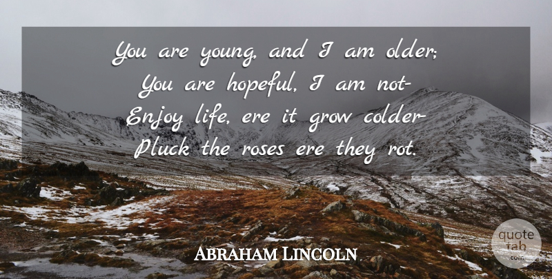 Abraham Lincoln Quote About Rose, Enjoy Life, Hopeful: You Are Young And I...