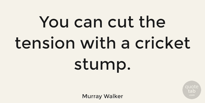 Murray Walker Quote About Cutting, Stumps, Cricket: You Can Cut The Tension...