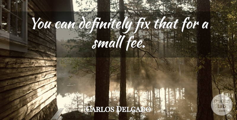 Carlos Delgado Quote About Definitely, Fix, Small: You Can Definitely Fix That...