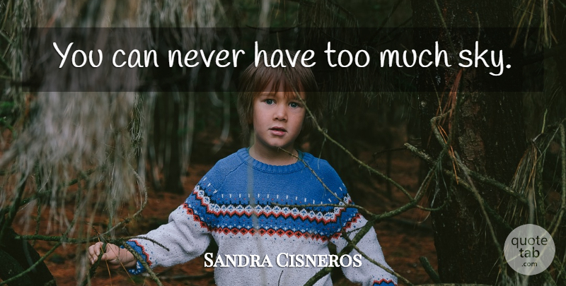 Sandra Cisneros Quote About Beach, Sky, Coins: You Can Never Have Too...