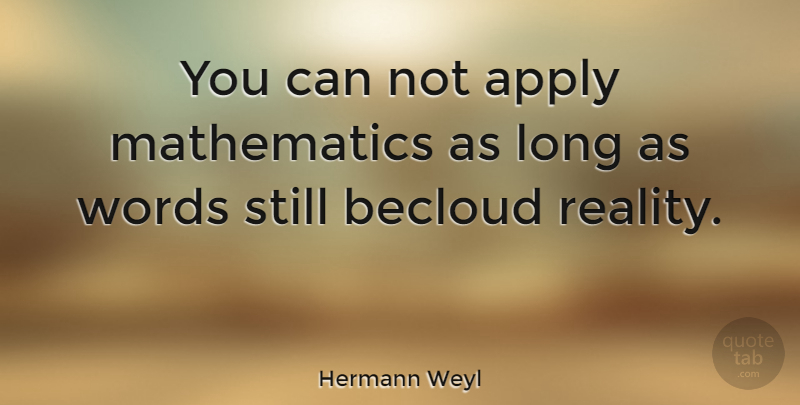 Hermann Weyl Quote About Reality, Long, Mathematics: You Can Not Apply Mathematics...