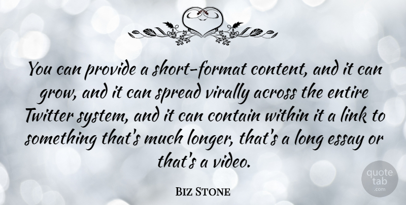 Biz Stone Quote About Across, Contain, Entire, Link, Provide: You Can Provide A Short...