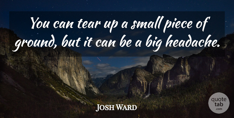 Josh Ward Quote About Piece, Small, Tear: You Can Tear Up A...