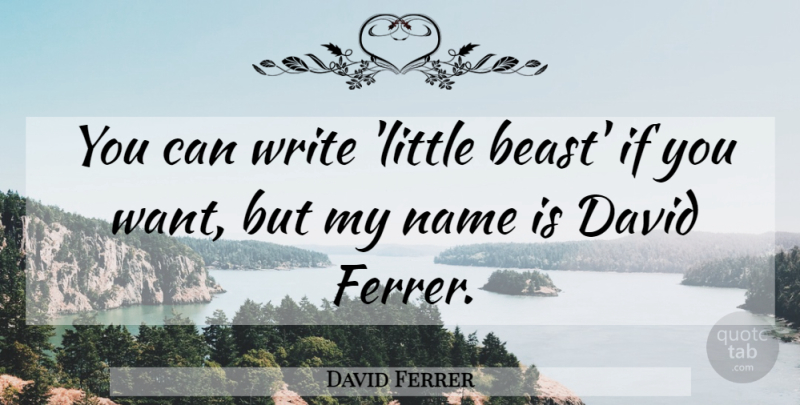 David Ferrer Quote About undefined: You Can Write Little Beast...