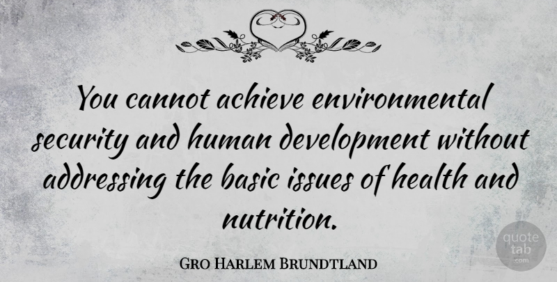 Gro Harlem Brundtland Quote About Health, Issues, Environmental: You Cannot Achieve Environmental Security...