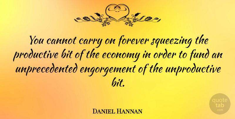 Daniel Hannan Quote About Order, Forever, Economy: You Cannot Carry On Forever...