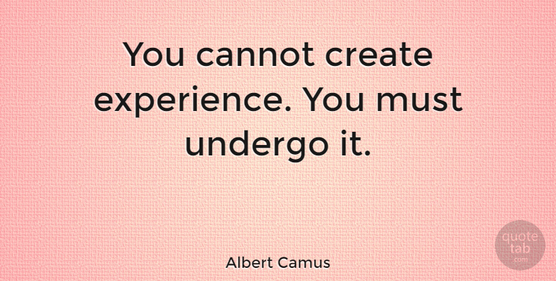 Albert Camus Quote About Understanding, Experience, Minimalist: You Cannot Create Experience You...