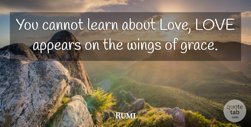 Rumi Quote About Wings, Grace: You Cannot Learn About Love...