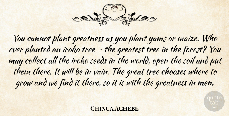 Chinua Achebe Quote About Greatness, Men, Yams: You Cannot Plant Greatness As...