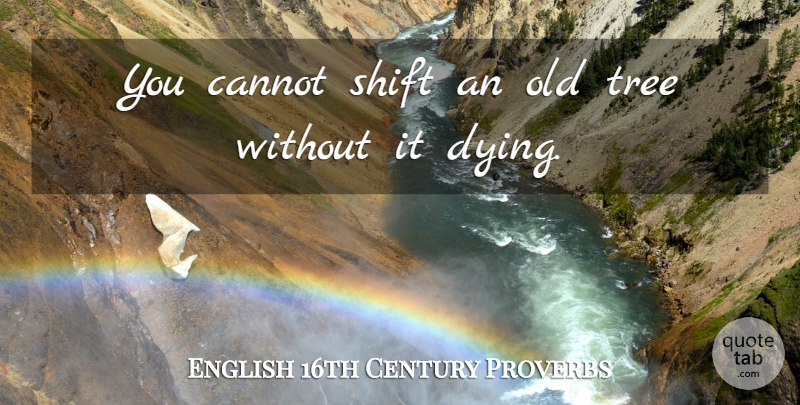 English 16th Century Proverbs Quote About Cannot, Proverbs, Shift, Tree: You Cannot Shift An Old...