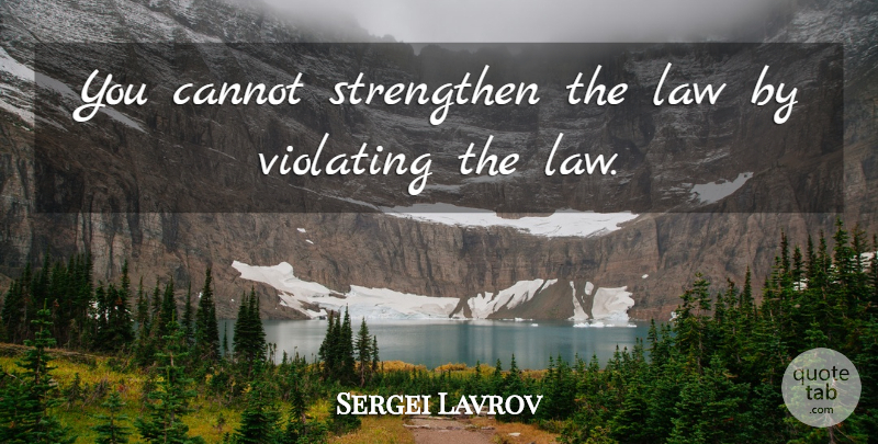 Sergei Lavrov Quote About undefined: You Cannot Strengthen The Law...