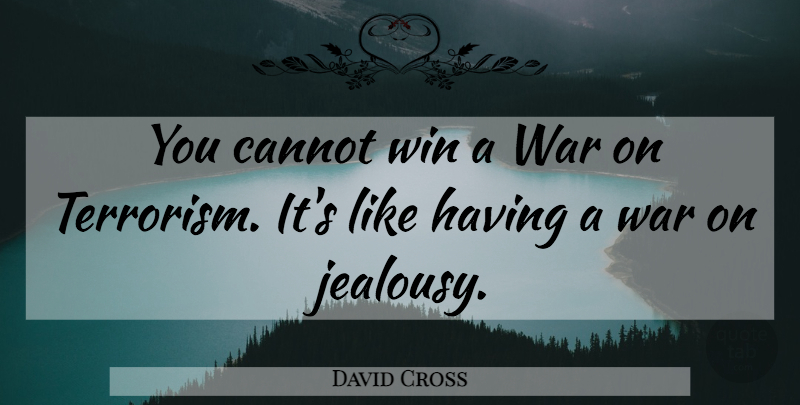 David Cross Quote About War, Winning, Terrorism: You Cannot Win A War...