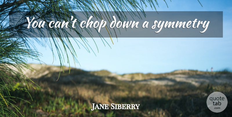 Jane Siberry Quote About Symmetry: You Cant Chop Down A...