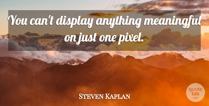 Steven Kaplan Quote About Display, Meaningful: You Cant Display Anything Meaningful...