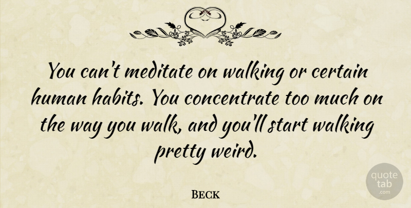 Beck Quote About Certain, Human, Meditate: You Cant Meditate On Walking...