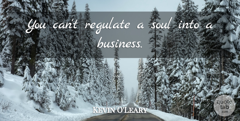 Kevin O'Leary Quote About Soul: You Cant Regulate A Soul...