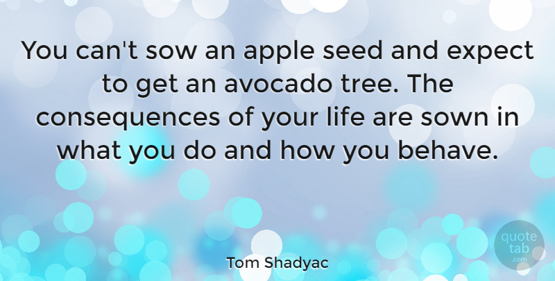 Tom Shadyac Quote About Apples, Tree, Avocados: You Cant Sow An Apple...