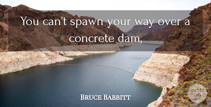 Bruce Babbitt Quote About Concrete: You Cant Spawn Your Way...