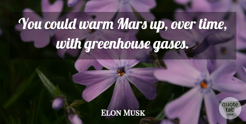 Elon Musk Quote About Mars, Greenhouses, Greenhouse Gases: You Could Warm Mars Up...