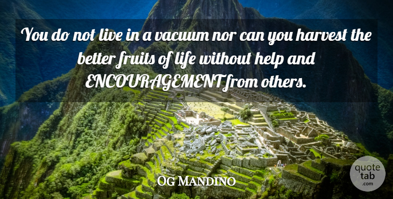 Og Mandino Quote About Encouragement, Fruit, Vacuums: You Do Not Live In...