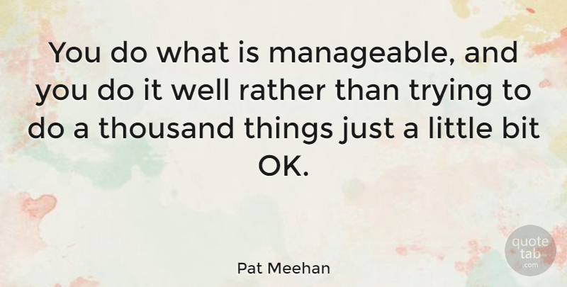 Pat Meehan Quote About Trying: You Do What Is Manageable...