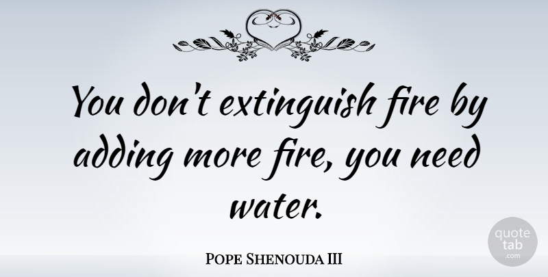 Pope Shenouda III Quote About undefined: You Dont Extinguish Fire By...