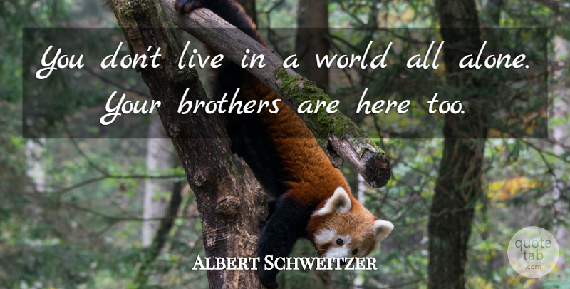 Albert Schweitzer Quote About Brother, Helping Others, Volunteer: You Dont Live In A...
