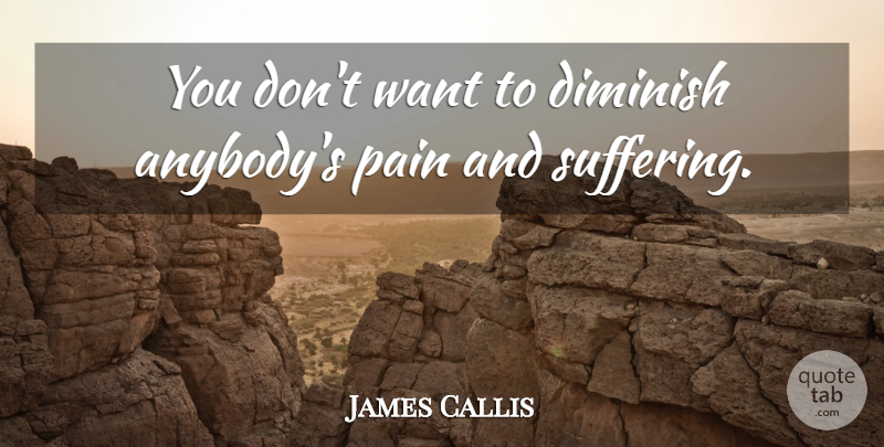 James Callis Quote About Diminish: You Dont Want To Diminish...