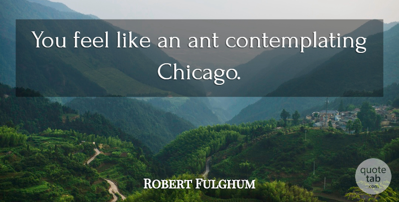 Robert Fulghum Quote About Ants, Chicago, Feels: You Feel Like An Ant...