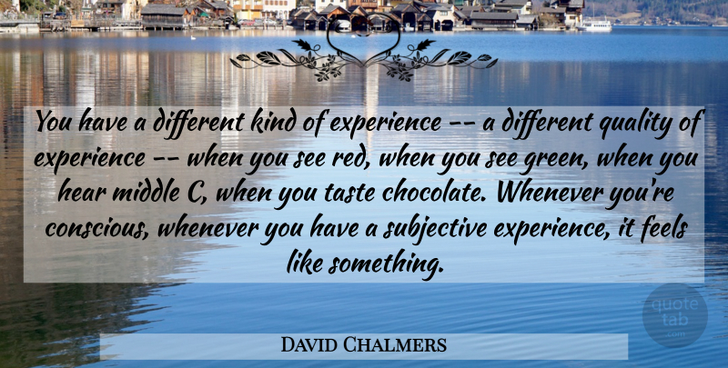 David Chalmers Quote About Experience, Feels, Hear, Middle, Quality: You Have A Different Kind...