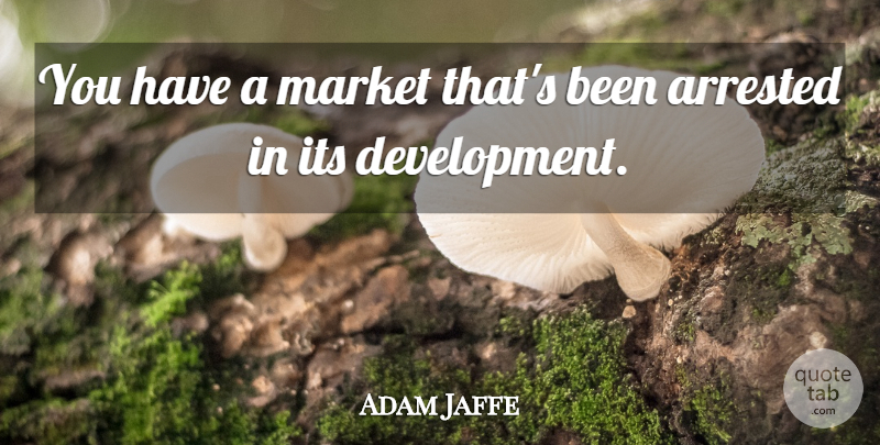 Adam Jaffe Quote About Arrested, Market: You Have A Market Thats...