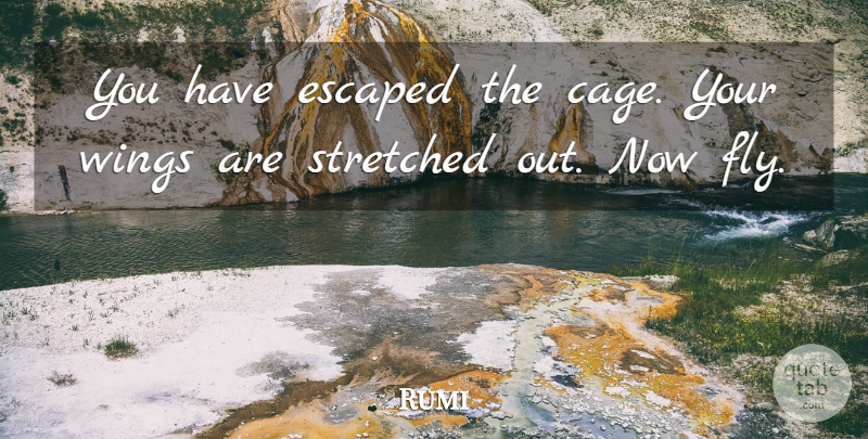 Rumi Quote About Wings, Cages: You Have Escaped The Cage...