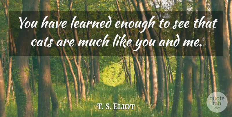 T. S. Eliot Quote About Cat, Like You, Enough: You Have Learned Enough To...