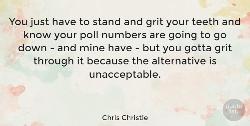 Chris Christie Quote About Numbers, Alternatives, Grit: You Just Have To Stand...