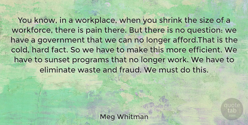 Meg Whitman Quote About Pain, Sunset, Government: You Know In A Workplace...